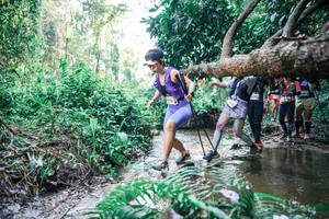 BIB: 
                            <button type="button" onclick="openModal(25464433)" class="btn btn-primary btn-sm float-right btn-popup" data-toggle="modal" data-target=".modal-high-quality">
                        <i class="fas fa-shopping-cart"></i> Add to Cart
                    </button>
                                            <button type="button" onclick="isThisMe(25464433, true)" class="btn btn-success btn-sm float-right btn-popup btn-isme hidden" data-toggle="tooltip" data-placement="bottom" title="นี่คือรูปของคุณใช่ไหม คลิกที่นี่เพื่อเอาเข้าอัลบั้ม">
                        <i class="fas fa-plus"></i> Add to album
                    </button>
                    <button type="button" onclick="isThisMe(25464433, false)" class="btn btn-warning btn-sm float-right btn-popup btn-isnotme hidden">
                        <i class="fas fa-ban"></i> Remove from album
                    </button>